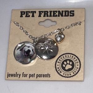 Pet Friends Silver Tone Cable Chain Necklace Dog Photo Charm Crystal Heart